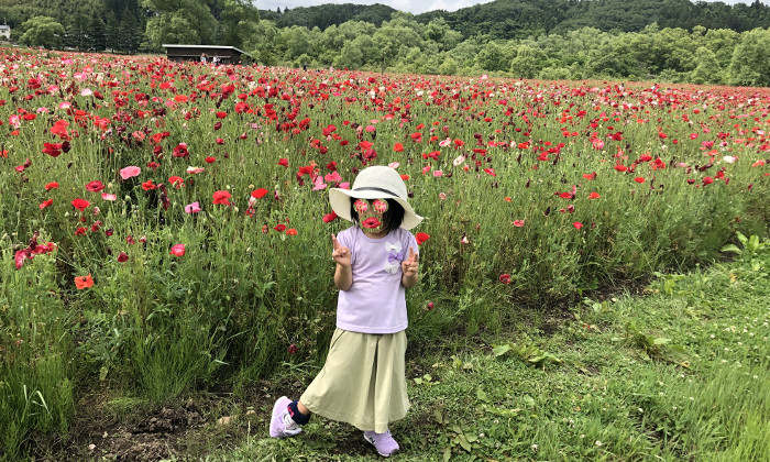 ポピー開花 仙台の質屋 質入 買取 質流れ品販売の鴫原質店