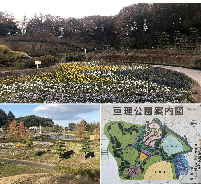 公園の様子