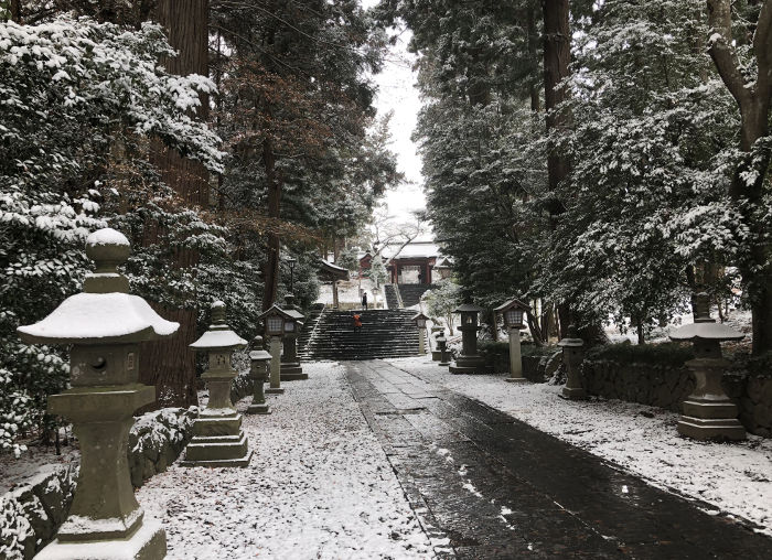 雪化粧の参道