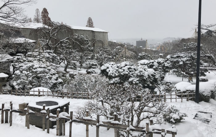 雪景色のお庭