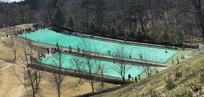 人工芝のソリ場