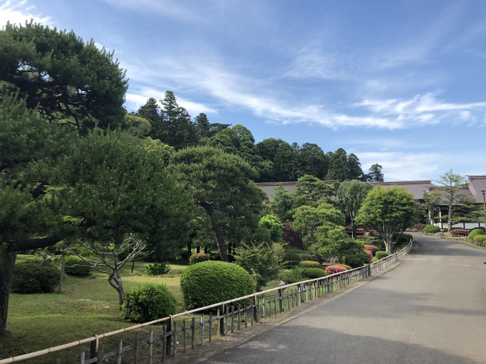 晴天と立派な庭の写真