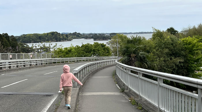 坂道からみる松島湾