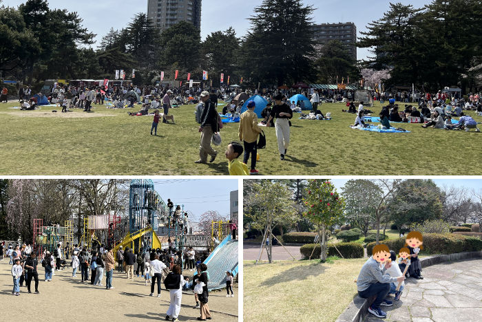 お花見で賑わう公園