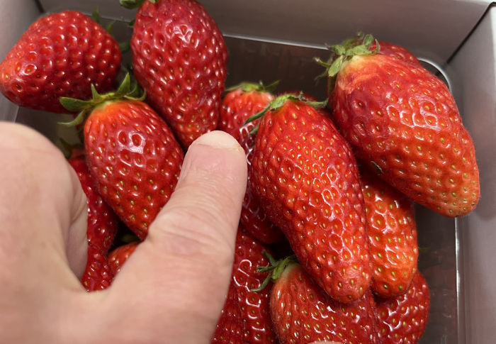 指と苺の大きさ比較