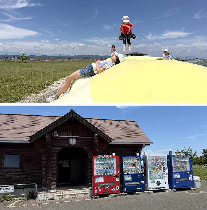 広大な風景と整備された公園の環境