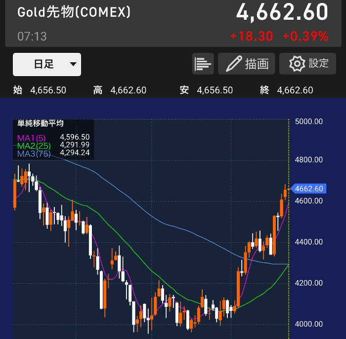 国内ゴールド価格のチャート