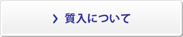 質入れについて